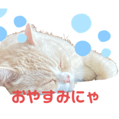 yun_20220820064937