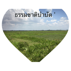 Hello_20220820095748