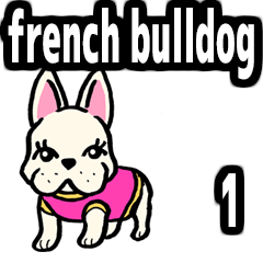 dog! french bulldog English