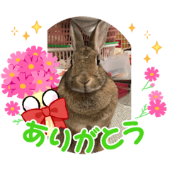 miibo_20220819234159