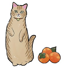 cyatora cats with persimmons