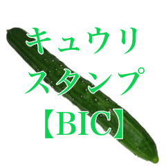 キュウリの写真スタンプ【BIC】