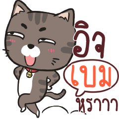 BEM3 charcoal meow