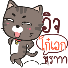 KOAK charcoal meow