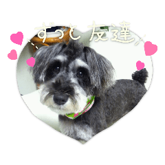 maron_20220820055348