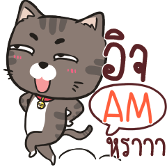 AM charcoal meow e
