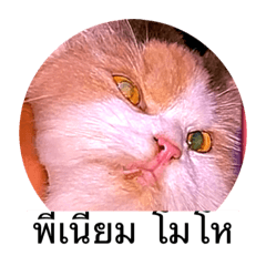 Nithi_20220820070908