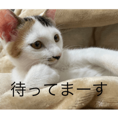 NATSUMI_20220820130304