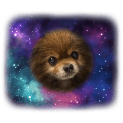 chisa_20220819223349