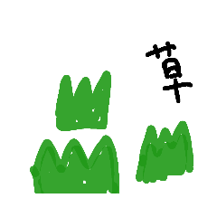 beaver_20220820000321
