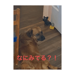 Hana_20220819154516