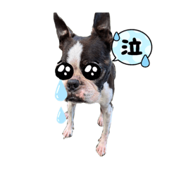 sayuri_20220820140701