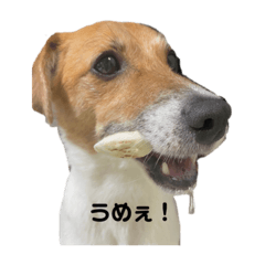 yuka_20220820011103
