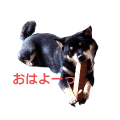 suzu_20220820141957