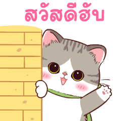 Meetung Cat animted (v.Thai)