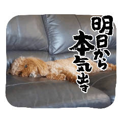 Ruby_20220820155831