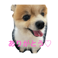 momoko_20220820193637