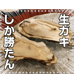 【かき】天然岩牡蠣(生)