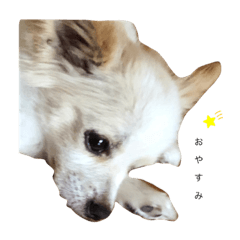 yun_20220821083531