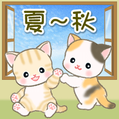 Cute baby cats in early autumn