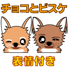 Chihuahua "Choco" and "Biscu" with words