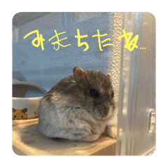 SUZU_20220820200421