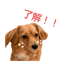 megumi_20220820224655