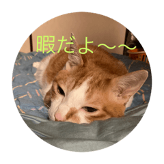 Mitsuki_20220820234809