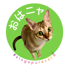 シンガプーラ猫のシンプルスタンプ