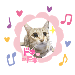 Alice_20220821024310