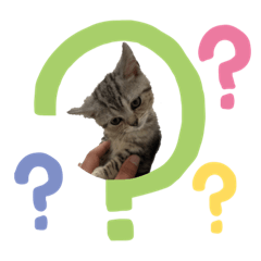 arisa_20220821023604