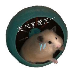 maichi_20220821123237
