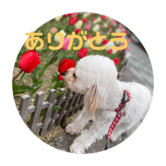 Misako_20220821141747