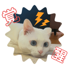 hana_20220821115036