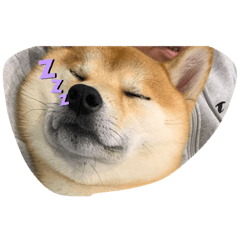 HANA_20220820210946