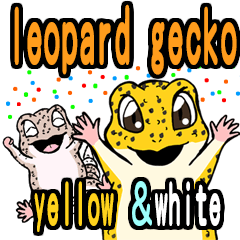 Leopard gecko Yellow guy and white guy E