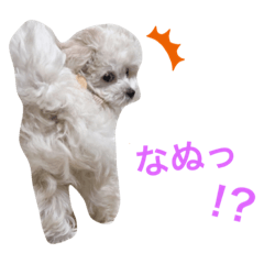 YAMADA_20220821153507