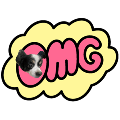 shiho_20220821155457