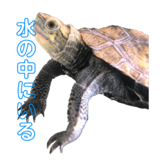 kuu_20220821111529