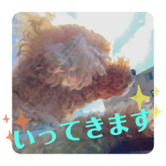 saori_20220821161640