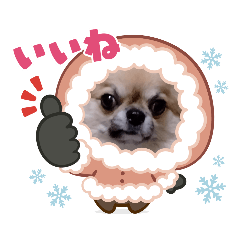 Raika_20220821191954