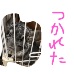 taki_20220821192903