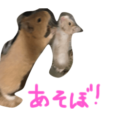 taki_20220821193050