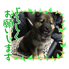 MITSUKI_20220821210122