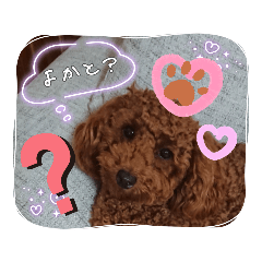 suzu_20220821203500