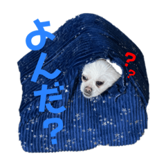 manmaru_20220821194037