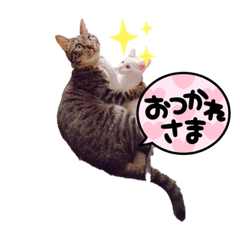 hana_20220821222111