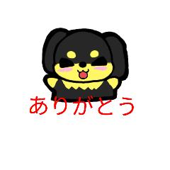 ringo_20220821201258