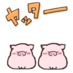 moving muchi muchi little piglet