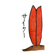 AFSSURF_20220822080435